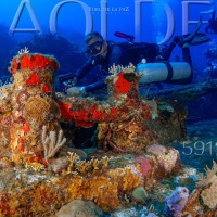 Al Otro Lado del Espejo#591-16-03-24