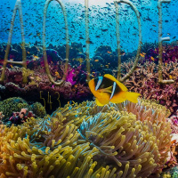 Al Otro Lado del Espejo#543-15-04-23