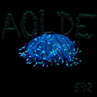 Al Otro Lado del Espejo#592-23-03-24