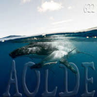 Al Otro Lado del Espejo#622-19-10-24