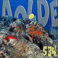 Al Otro Lado del Espejo#534-11-02-23