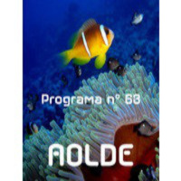 Al Otro Lado del Espejo nº 63 -13-12-2013