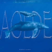 Al Otro Lado del Espejo#546-06-05-23