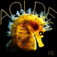 Al Otro Lado del Espejo#676-08-11-25