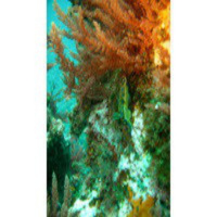 Al Otro Lado Del Espejo nº 20 - 15/02/2013