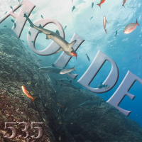 Al Otro Lado del Espejo#536-25-02-23