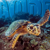 Al Otro Lado del Espejo#526-17-12-22