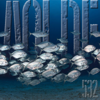 Al Otro Lado del Espejo#532-28-01-23