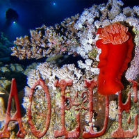 Al Otro Lado del Espejo#542-08-04-23