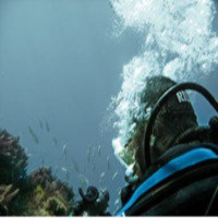 Al Otro Lado del Espejo nº 53 - 04-10-2013