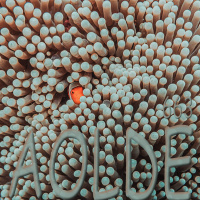 Al Otro Lado del Espejo#663-09-08-25