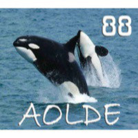 Al Otro Lado del Espejo nº 88 - 06-06-2014