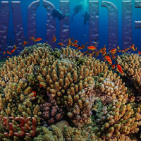 Al Otro Lado del Espejo#539-18-03-23