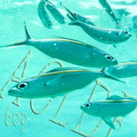 Al Otro Lado del Espejo#609-20-07-24