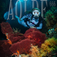 Al Otro Lado del Espejo#666-30-08-25