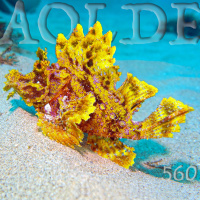 Al Otro Lado del Espejo#560-12-08-23