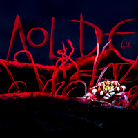 Al Otro Lado del Espejo#646-05-04-25