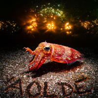 Al Otro Lado del Espejo#644-22-03-25