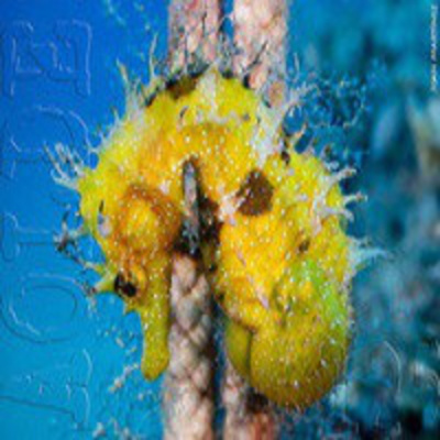 Podcast Al Otro Lado Del Espejo