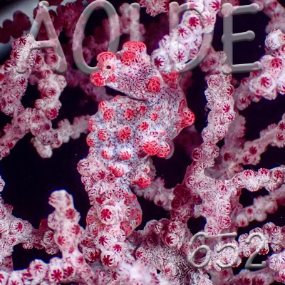 Podcast Al Otro Lado Del Espejo