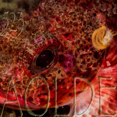 Podcast Al Otro Lado Del Espejo