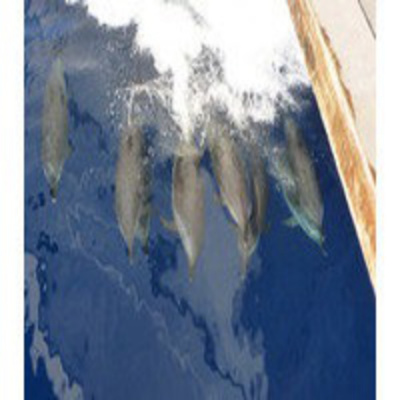 Podcast Al Otro Lado Del Espejo