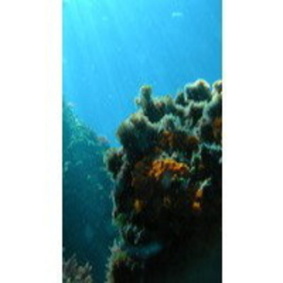 Podcast Al Otro Lado Del Espejo