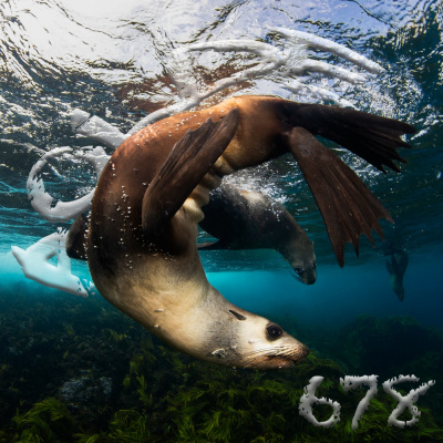 Podcast Al Otro Lado Del Espejo