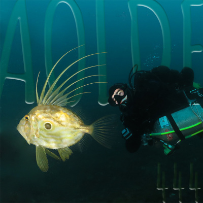 Podcast Al Otro Lado Del Espejo