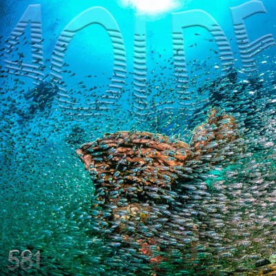 Podcast Al Otro Lado Del Espejo