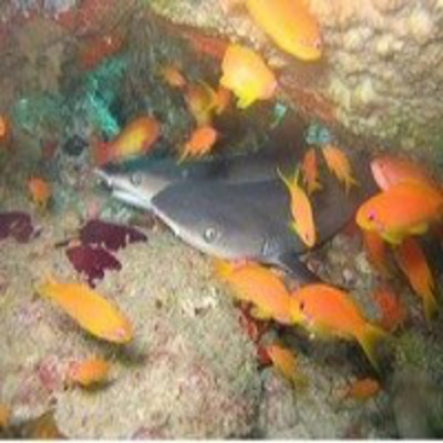 Podcast Al Otro Lado Del Espejo