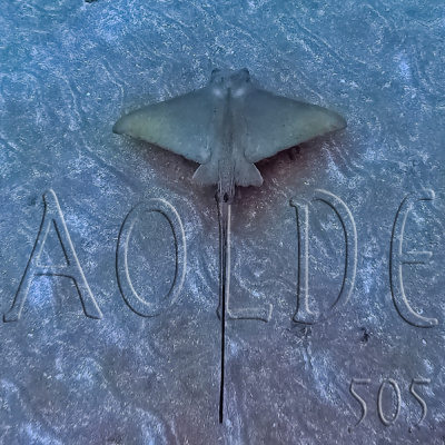 Podcast Al Otro Lado Del Espejo