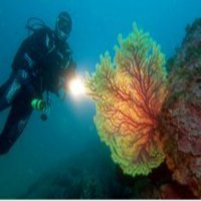 Podcast Al Otro Lado Del Espejo