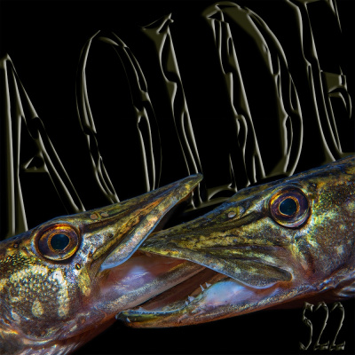 Podcast Al Otro Lado Del Espejo