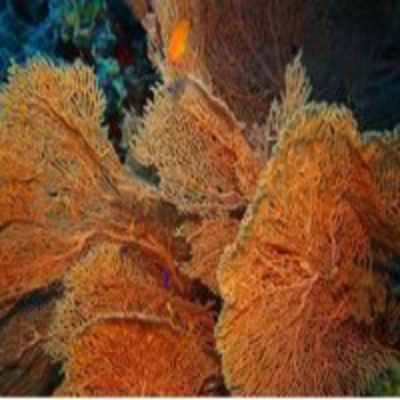 Podcast Al Otro Lado Del Espejo