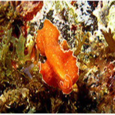 Podcast Al Otro Lado Del Espejo