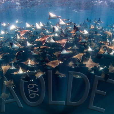 Podcast Al Otro Lado Del Espejo