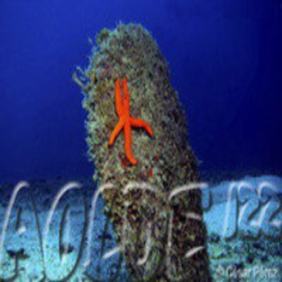 Podcast Al Otro Lado Del Espejo