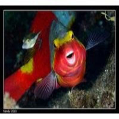 Podcast Al Otro Lado Del Espejo