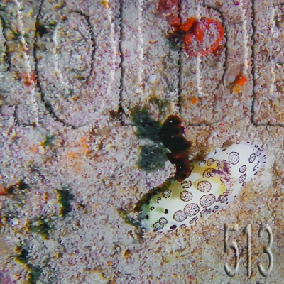 Podcast Al Otro Lado Del Espejo