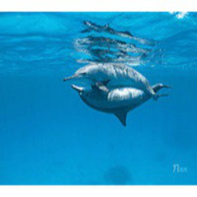 Podcast Al Otro Lado Del Espejo