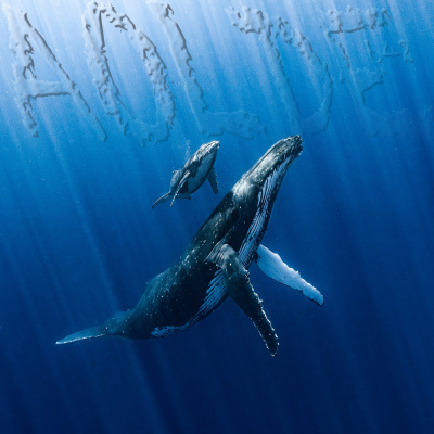 Podcast Al Otro Lado Del Espejo