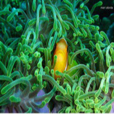 Podcast Al Otro Lado Del Espejo