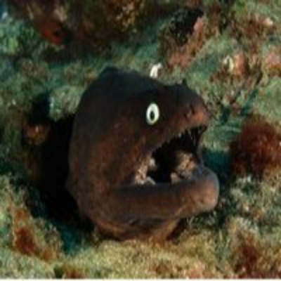 Podcast Al Otro Lado Del Espejo