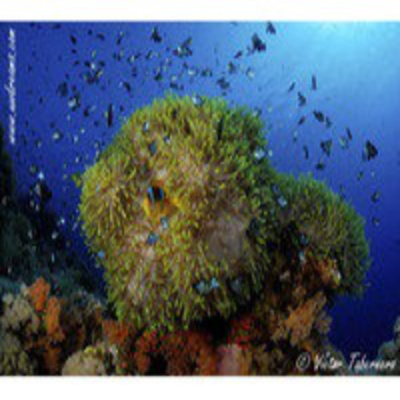 Podcast Al Otro Lado Del Espejo