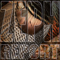 Thanksgiving Day - Undecided