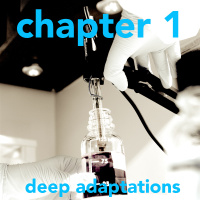 1.1 Deep Adaptations