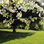 Père Marie Dominique Molinié Op - Retraite De Saint-prix 1974