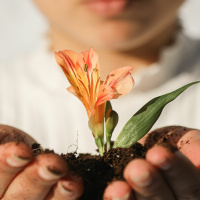 Paul  Adam - Beauty for Ashes: Outworked