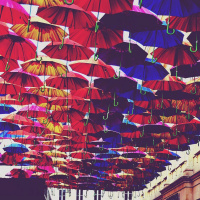 Adam - Your Difference